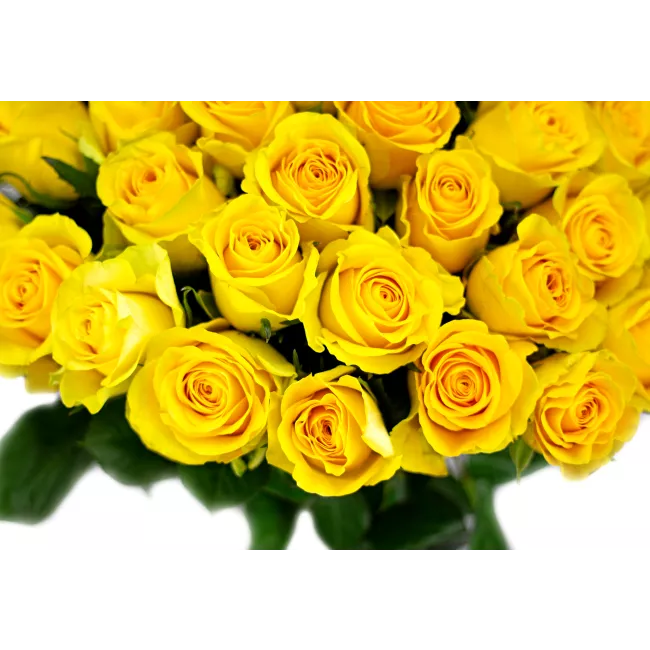 Bouquet of yellow roses